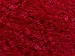 Milano Red