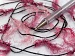 Trawl Curly Pink Shades