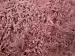 Magician Rose Pink