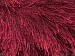 Long Eyelash Burgundy