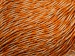Cashmere Orange, Camel
