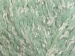 Baby Soft Green
