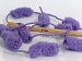 Cocoon Purple