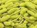 Cocoon Lurex Light Green