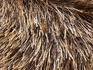 Fiber Content 100% Polyester, Brand Ice Yarns, Camel, Brown, Yarn Thickness 5 Bulky Chunky, Craft, Rug, fnt2-22749